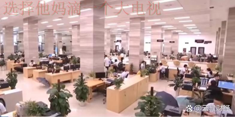 半岛体育科技控股的创新与未来发展