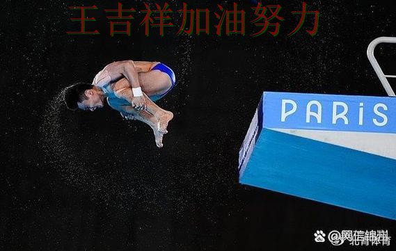 中国游泳队大胜收官稳固排名 主帅用人思路受到讨论 中国游泳队大胜收官稳固排名 主帅用人思路受到讨论