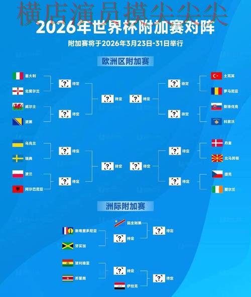FIFA World Cup 2026背景下的世界杯买球网站实测对比与平台排行直播解析